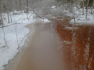 Paalijoki tai -oja.