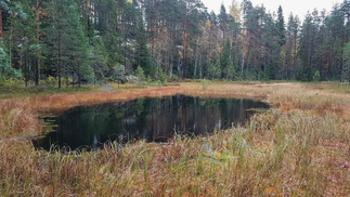Pikku-Karhulampi