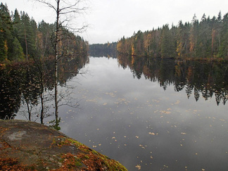Kiiskilampi