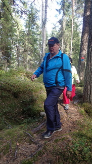 Jorma