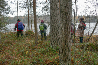 Usmijärven rantaa