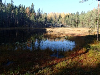 Iso-Karhulampi