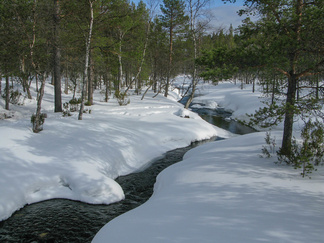 Luttojoki.