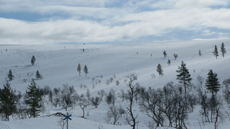 Raututunturi.