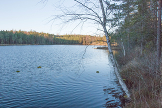 Kypärälampi