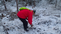 Mitähän kivaa täältä löytyisi?