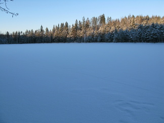 Kypärälampi