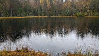Pikku-Usmilampi