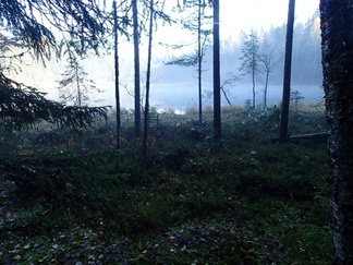 Mätälampi