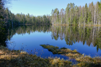 Pitkännokanlampi