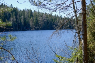 Piilolammen rantaa