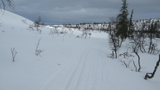 Rautuvanka