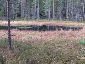 Pikku-Karhulampi.