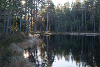 Pohjoisella Kaksoilammella