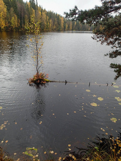 Piilolammen päässä.
