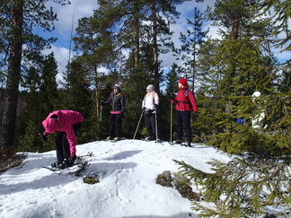 Mäellä