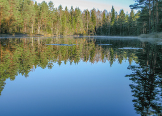 Pohjoinen Kaksoslampi näkyy laavulta