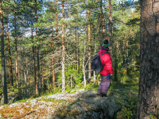Pienen Karhulammen takakalloilta on kaunis näköala alas lammelle